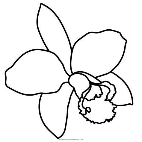 Dibujo De Orquídea Para Colorear - Ultra Coloring Pages: Dibujar y Colorear Fácil con este Paso a Paso, dibujos de Una Orquidea, como dibujar Una Orquidea para colorear e imprimir