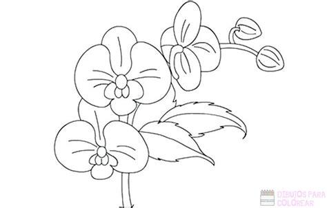 ᐈ Dibujos de orquideas【+1000】Para colorear Hoy: Aprende como Dibujar Fácil, dibujos de Una Orquidea, como dibujar Una Orquidea para colorear