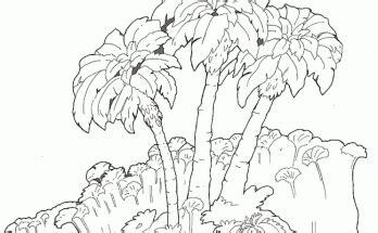 Dibujos de Paisajes - Página 3 de 3 - Dibujos para colorear: Dibujar Fácil con este Paso a Paso, dibujos de Una Palmera Muy, como dibujar Una Palmera Muy para colorear
