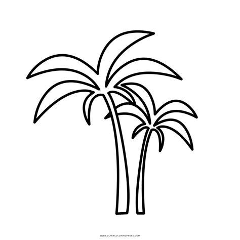 [Mais procurados] Desenho De Uma Palmeira – desenho de: Dibujar Fácil con este Paso a Paso, dibujos de Una Palmera Pequeña, como dibujar Una Palmera Pequeña para colorear e imprimir
