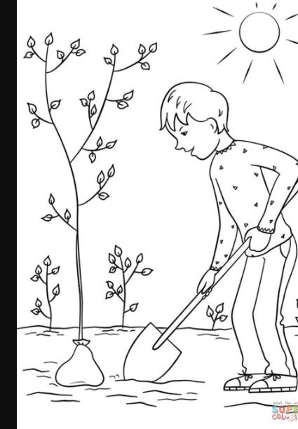 Dibujo de Niño plantando un árbol para colorear: Aprender como Dibujar y Colorear Fácil con este Paso a Paso, dibujos de Una Persona En El Suelo, como dibujar Una Persona En El Suelo paso a paso para colorear