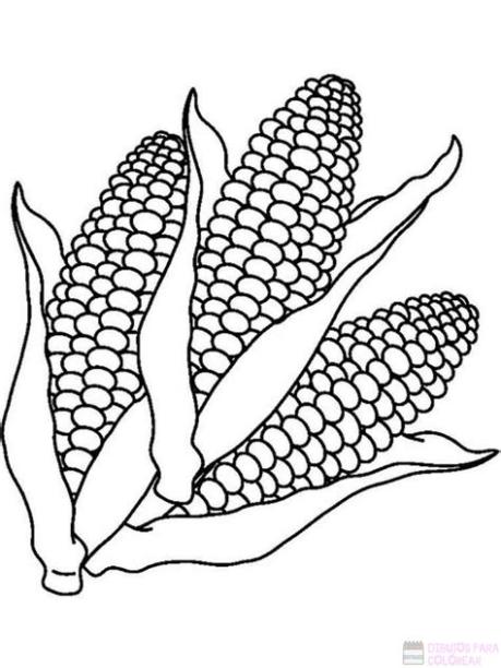 ᐈ Dibujos de Maiz【TOP 30】Un delicioso boceto: Dibujar y Colorear Fácil con este Paso a Paso, dibujos de Una Planta De Maiz, como dibujar Una Planta De Maiz para colorear