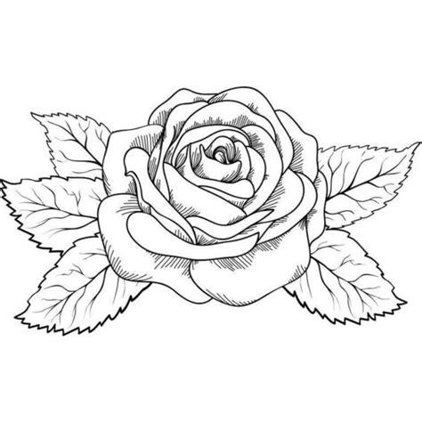 Dibujo de una rosa grande para colorear | Para-Colorear.com: Dibujar Fácil, dibujos de Una Plantilla, como dibujar Una Plantilla para colorear e imprimir