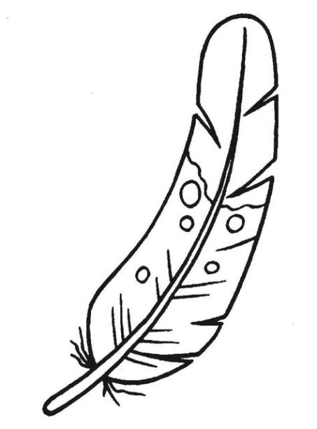 Plumas de pavo real para colorear - Imagui: Dibujar Fácil, dibujos de Una Pluma, como dibujar Una Pluma paso a paso para colorear