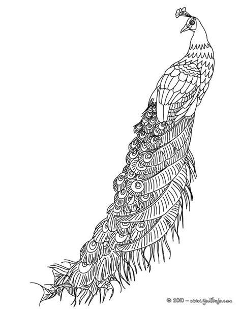 Dibujos para colorear plumas de pavo real - es.hellokids.com: Dibujar y Colorear Fácil con este Paso a Paso, dibujos de Una Pluma De Pavo Real, como dibujar Una Pluma De Pavo Real para colorear