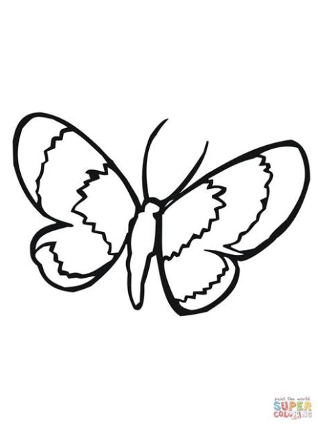 Dibujo de Polilla. lepidóptero para colorear | Dibujos: Aprender a Dibujar y Colorear Fácil con este Paso a Paso, dibujos de Una Polilla, como dibujar Una Polilla para colorear