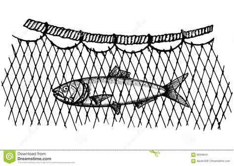 Commercial Fish Caught In The Network. Vector Illustration: Dibujar y Colorear Fácil, dibujos de Una Red De Pesca, como dibujar Una Red De Pesca para colorear