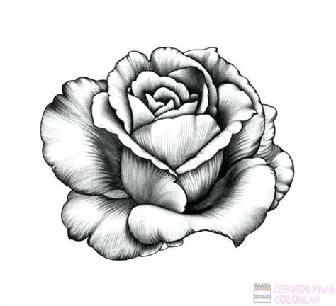 ᐈ Dibujos de rosas【+1000】Para colorear Hoy: Dibujar Fácil con este Paso a Paso, dibujos de Una Rosa Abierta, como dibujar Una Rosa Abierta para colorear e imprimir