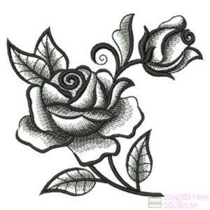 ᐈ Dibujos de rosas【+1000】Para colorear Hoy: Aprender a Dibujar Fácil, dibujos de Una Rosa Abierta, como dibujar Una Rosa Abierta para colorear