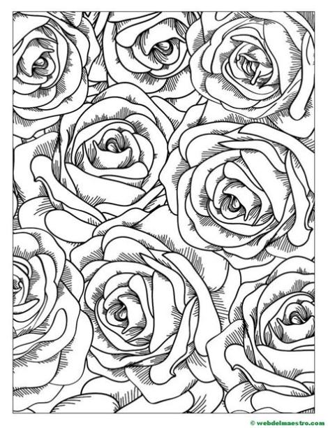 Dibujos de flores para colorear - Web del maestro: Dibujar y Colorear Fácil con este Paso a Paso, dibujos de Una Rosa Con Boligrafo, como dibujar Una Rosa Con Boligrafo para colorear