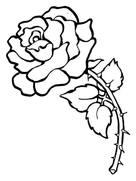 El Mejor Blog para Chicas: 10 Dibujos de rosas para colorear: Dibujar y Colorear Fácil, dibujos de Una Rosa Con Espinas, como dibujar Una Rosa Con Espinas para colorear e imprimir
