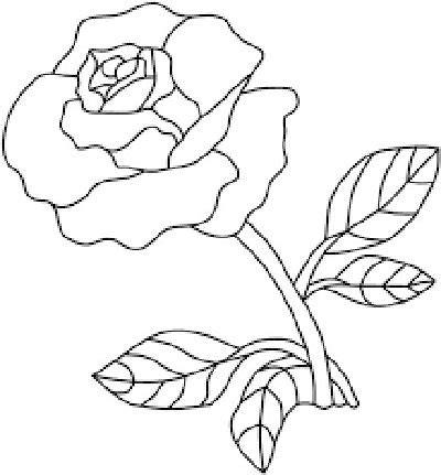 Cómo dibujar una rosa - Rosas para dibujar a lápiz: Dibujar Fácil, dibujos de Una Rosa Desde Arriba, como dibujar Una Rosa Desde Arriba para colorear