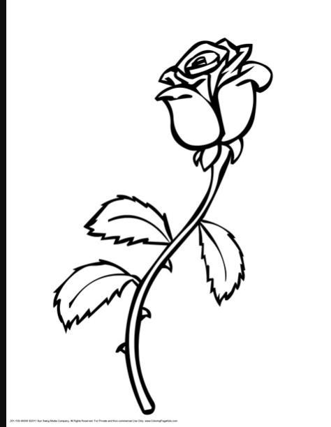 Rosas (Naturaleza) – Colorear dibujos gratis: Dibujar Fácil con este Paso a Paso, dibujos de Una Rosa Muy, como dibujar Una Rosa Muy para colorear e imprimir