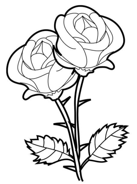 Dibujos para pintar de rosas. Dibujos para colorear de rosas: Aprende como Dibujar Fácil con este Paso a Paso, dibujos de Una Rosa Muy, como dibujar Una Rosa Muy para colorear