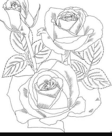 Dibujos de rosas Hermosas para colorear - Imágenes para: Dibujar Fácil, dibujos de Una Rosa Para Principiantes, como dibujar Una Rosa Para Principiantes para colorear e imprimir