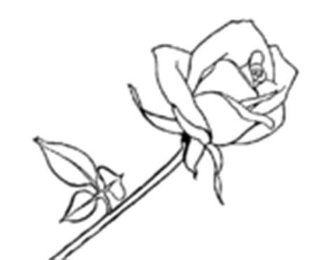 Dibujos de Tatuajes para Colorear - Dibujos.net: Dibujar Fácil, dibujos de Una Rosa Para Principiantes, como dibujar Una Rosa Para Principiantes para colorear