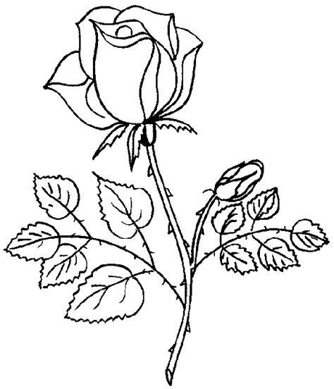 Dibujo de preciosa rosa para colorear - Dibujos para colorear: Dibujar y Colorear Fácil con este Paso a Paso, dibujos de Una Rosa Perfecta, como dibujar Una Rosa Perfecta paso a paso para colorear