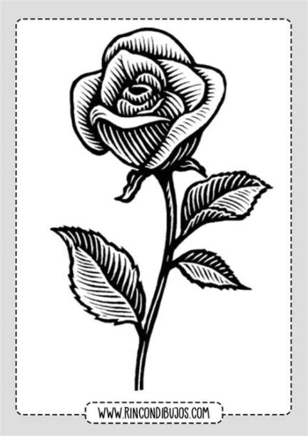 Dibujos de Flores para colorear | Rincon Dibujos Laminas: Dibujar y Colorear Fácil, dibujos de Una Rosa Realista A Color, como dibujar Una Rosa Realista A Color paso a paso para colorear