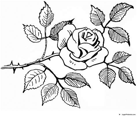 Dibujos de rosas para colorear. pintar e imprimir: Dibujar y Colorear Fácil con este Paso a Paso, dibujos de Una Rosa Y Bonita, como dibujar Una Rosa Y Bonita para colorear e imprimir