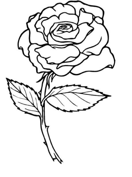 Rosas para pintar colorear - Imagui: Aprende a Dibujar Fácil con este Paso a Paso, dibujos de Una Roza, como dibujar Una Roza para colorear
