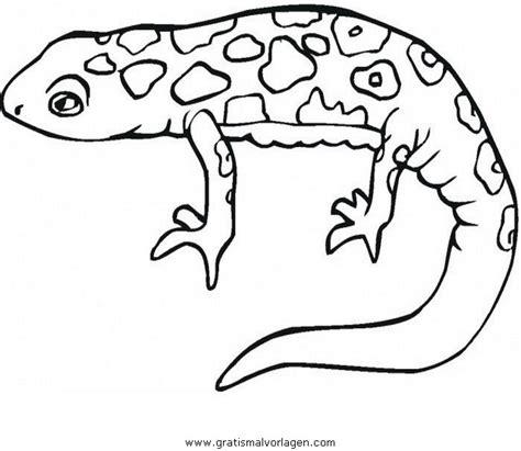 LA SALAMANDRA PARA COLOREAR - Imagui: Aprende como Dibujar y Colorear Fácil con este Paso a Paso, dibujos de Una Salamandra, como dibujar Una Salamandra para colorear