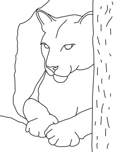 40 dibujos de Pumas para colorear | Oh Kids | Page 3: Aprende a Dibujar y Colorear Fácil con este Paso a Paso, dibujos de Una Seccion, como dibujar Una Seccion para colorear e imprimir