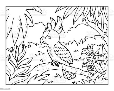 [View 45+] Dibujos Para Colorear De Animales De La Selva: Aprende como Dibujar y Colorear Fácil con este Paso a Paso, dibujos de Una Selva Tropical, como dibujar Una Selva Tropical para colorear e imprimir