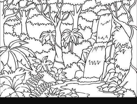 Cómo dibujar Una Selva Tropical 】 Paso a Paso Muy Fácil 2023 - Dibuja Fácil