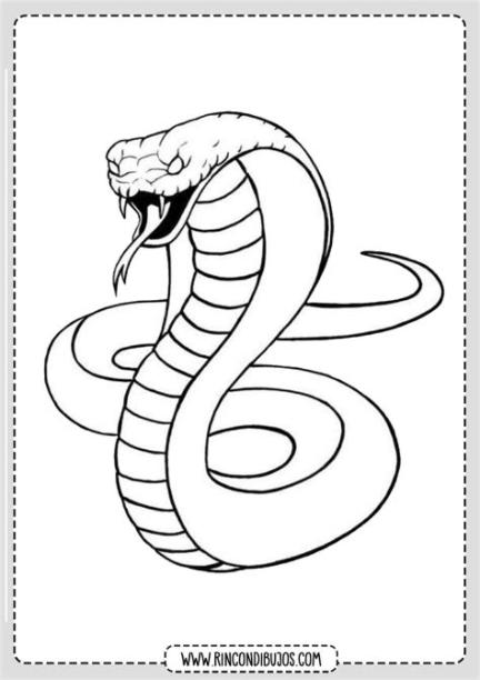 Dibujo Cobra Colorear - Rincon Dibujos | Snake drawing: Aprende como Dibujar y Colorear Fácil con este Paso a Paso, dibujos de Una Serpiente Cobra, como dibujar Una Serpiente Cobra paso a paso para colorear