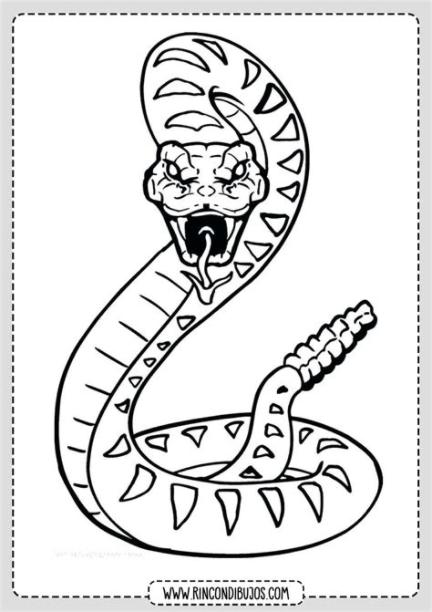 Serpiente Cascabel Para Colorear - Rincon Dibujos | Dibujo: Aprende como Dibujar Fácil, dibujos de Una Serpiente Cobra, como dibujar Una Serpiente Cobra para colorear