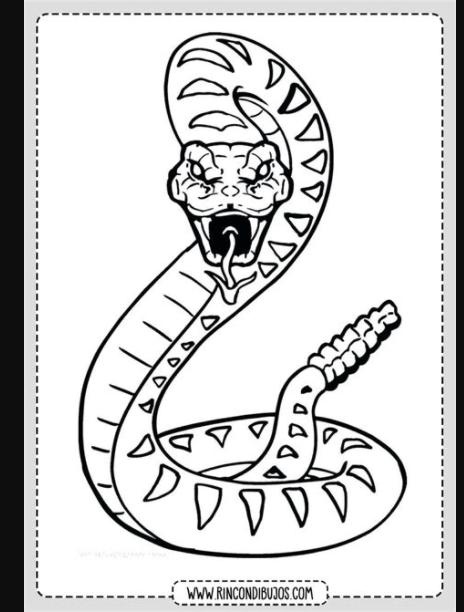 Serpiente Cascabel Para Colorear - Rincon Dibujos | Dibujo: Aprender a Dibujar y Colorear Fácil con este Paso a Paso, dibujos de Una Serpiente De Cascabel, como dibujar Una Serpiente De Cascabel para colorear e imprimir