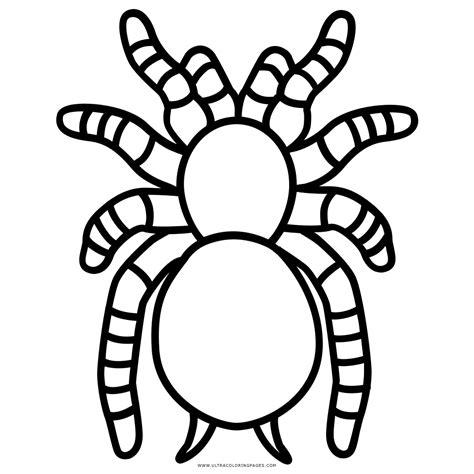 Dibujo De Tarántula Para Colorear - Ultra Coloring Pages: Aprende a Dibujar Fácil, dibujos de Una Tarantula, como dibujar Una Tarantula para colorear e imprimir