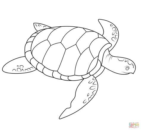 Dibujo de Tortuga de Mar para colorear | Dibujos para: Dibujar y Colorear Fácil, dibujos de Una Tortuga De Mar, como dibujar Una Tortuga De Mar para colorear e imprimir