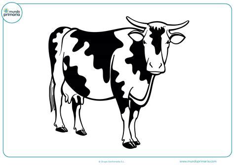 Dibujos de Vacas para Colorear 【Imprimir y Pintar】: Aprender a Dibujar Fácil, dibujos de Una Vaca Real, como dibujar Una Vaca Real para colorear e imprimir