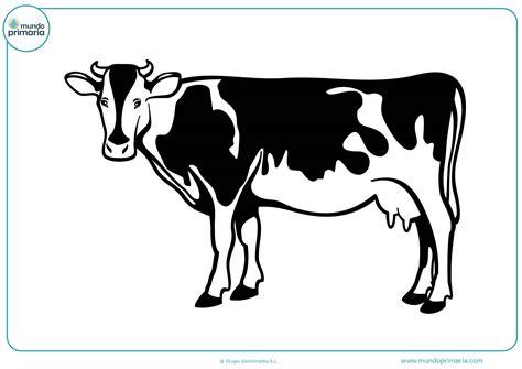 Dibujos de Vacas para Colorear 【Imprimir y Pintar】: Dibujar Fácil, dibujos de Una Vaca Real, como dibujar Una Vaca Real paso a paso para colorear