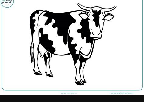 10+ Mejor Para Dibujos Para Colorear De Animales De La: Dibujar Fácil, dibujos de Una Vaca Realista, como dibujar Una Vaca Realista paso a paso para colorear