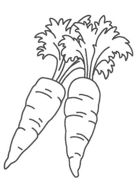 Zanahorias para colorear e imprimir: Aprende como Dibujar Fácil, dibujos de Una Zanahoria, como dibujar Una Zanahoria para colorear