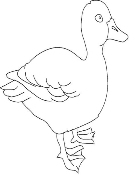 Dibujos Para Colorear De Animales Pato - Para Colorear: Dibujar y Colorear Fácil, dibujos de Unas Patas De Pato, como dibujar Unas Patas De Pato para colorear