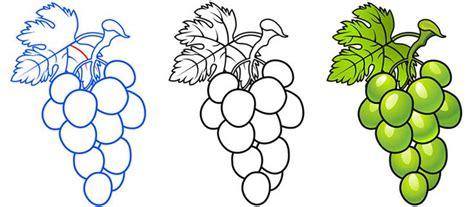dibujos de uva para niños racimos de uvas para colorear: Aprender a Dibujar y Colorear Fácil con este Paso a Paso, dibujos de Uvas En Papel, como dibujar Uvas En Papel para colorear e imprimir