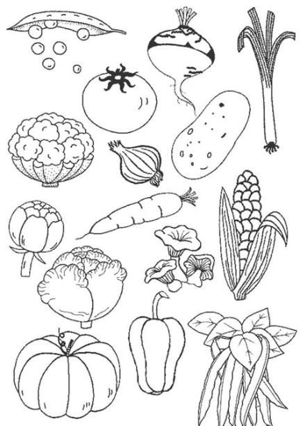 57 dibujos de Verduras para colorear | Oh Kids | Page 5: Aprender como Dibujar y Colorear Fácil, dibujos de Vegetales, como dibujar Vegetales paso a paso para colorear
