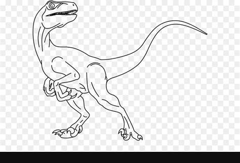 Velociraptor Blue Para Colorear. HD Png Download - vhv: Aprender como Dibujar Fácil con este Paso a Paso, dibujos de Velociraptor Blue, como dibujar Velociraptor Blue para colorear e imprimir