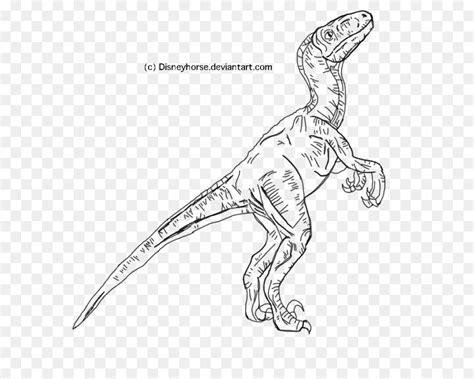 imagenes de velociraptor blue para colorear: Dibujar Fácil con este Paso a Paso, dibujos de Velociraptor Blue, como dibujar Velociraptor Blue para colorear