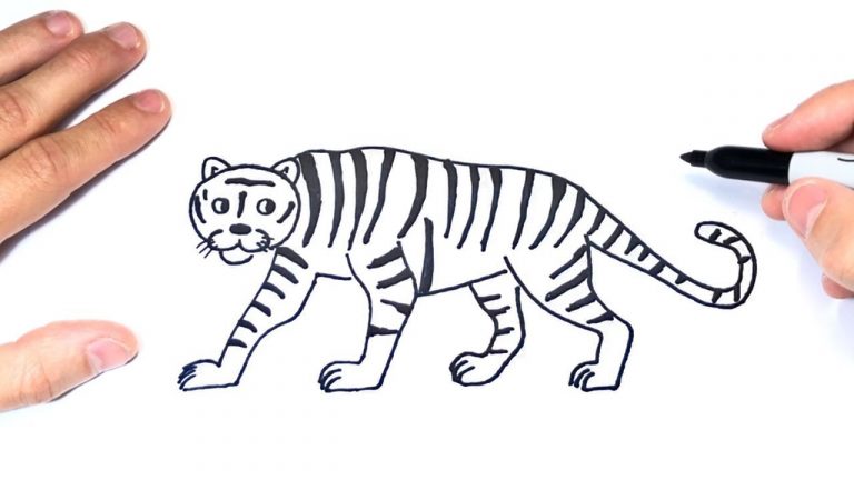 cómo dibujar a un tigre paso a paso muy fácil 2023 dibuja fácil