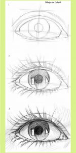 Cómo Dibujar Ojos Paso a Paso Fácil