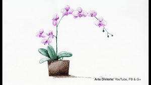 Dibuja Orquídeas Fácil Paso a Paso