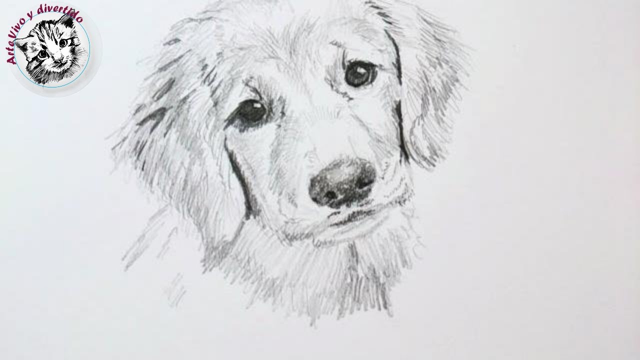 Dibujar Un Perro A Lápiz Paso a Paso Fácil