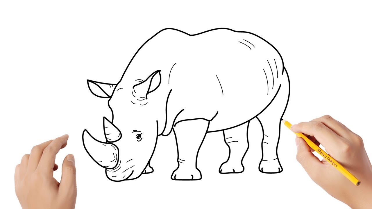 Dibuja Un Rinoceronte Fácil Paso a Paso