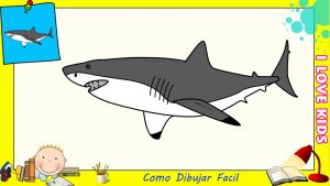 Dibujar Un Tiburón Paso a Paso Fácil