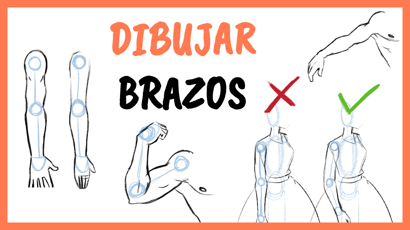 Cómo dibujar Brazos 】 Paso a Paso Muy Fácil 2024 - Dibuja Fácil