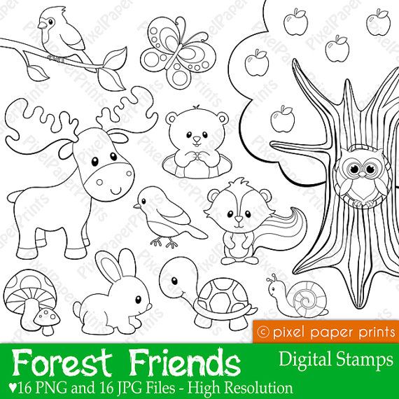 Cómo Dibujar Forest Friends Fácil Paso a Paso